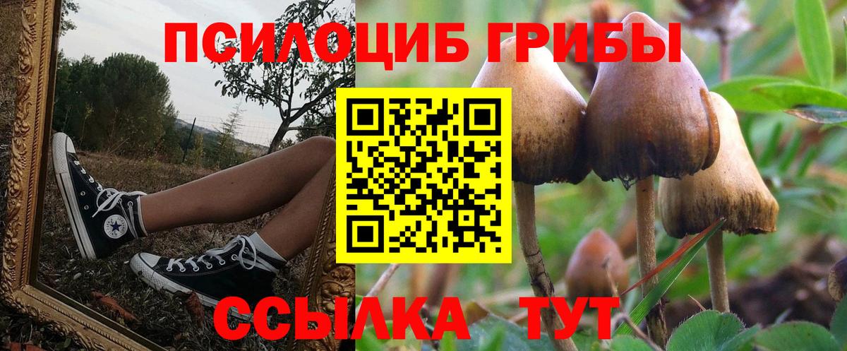 Галлюциногенные грибы мицелий  Вход с VPN  как найти закладки  Гуково  Галлюциногенные грибы мицелий 